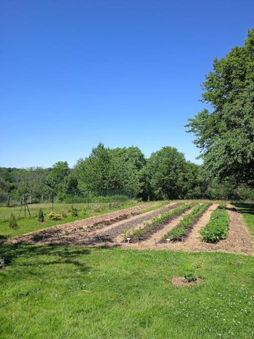 Les Jardins Des 3 Provinces- Gite Montcharvot Kültér fotó