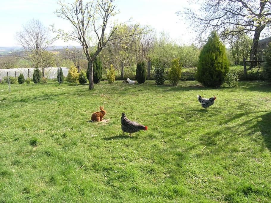 Les Jardins Des 3 Provinces- Gite Montcharvot Kültér fotó