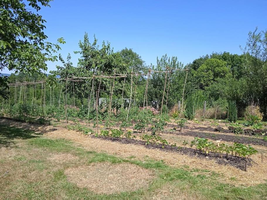 Les Jardins Des 3 Provinces- Gite Montcharvot Kültér fotó