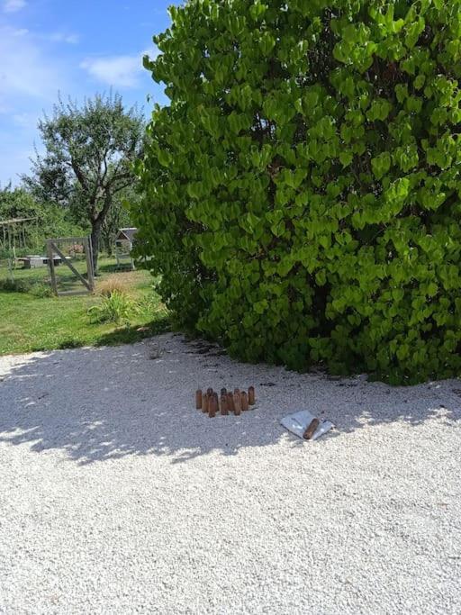 Les Jardins Des 3 Provinces- Gite Montcharvot Kültér fotó