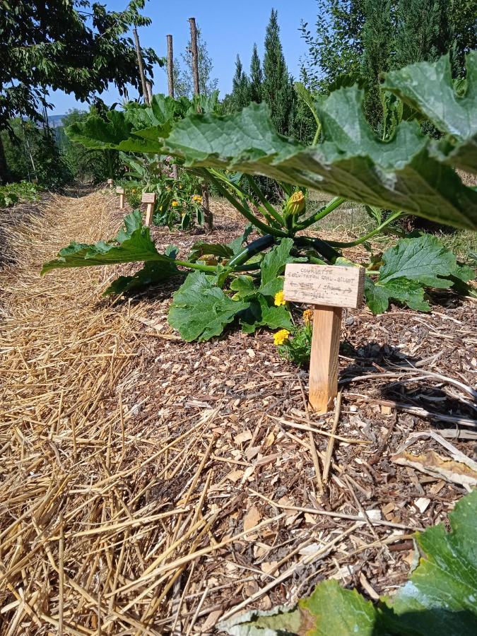 Les Jardins Des 3 Provinces- Gite Montcharvot Kültér fotó